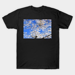 Spring Blossom T-Shirt